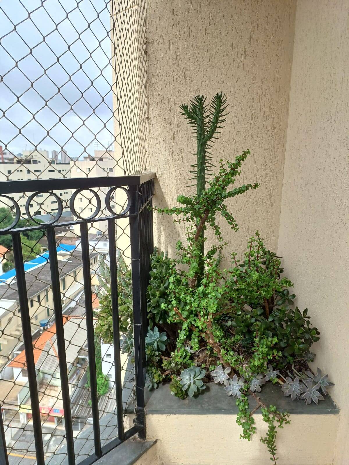 Apartamento, 3 quartos, 91 m² - Foto 12