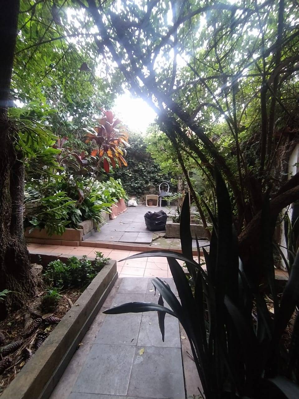 Terreno, 250 m² - Foto 2