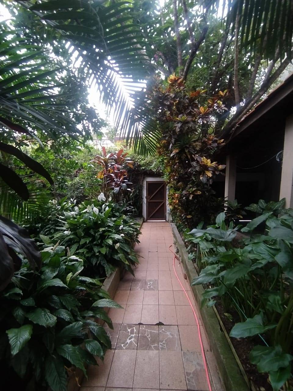 Terreno, 250 m² - Foto 4