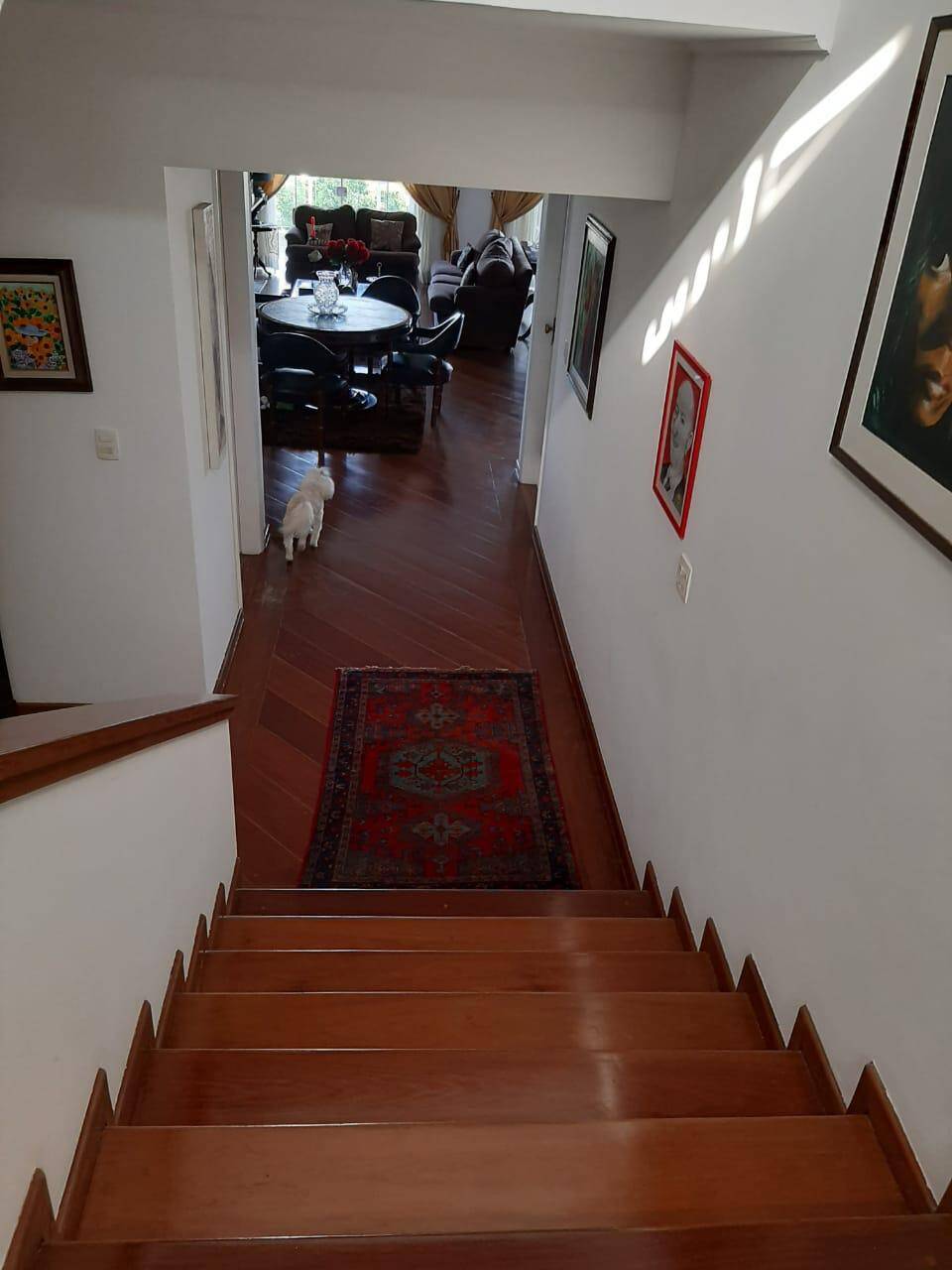 Sobrado, 5 quartos, 500 m² - Foto 10