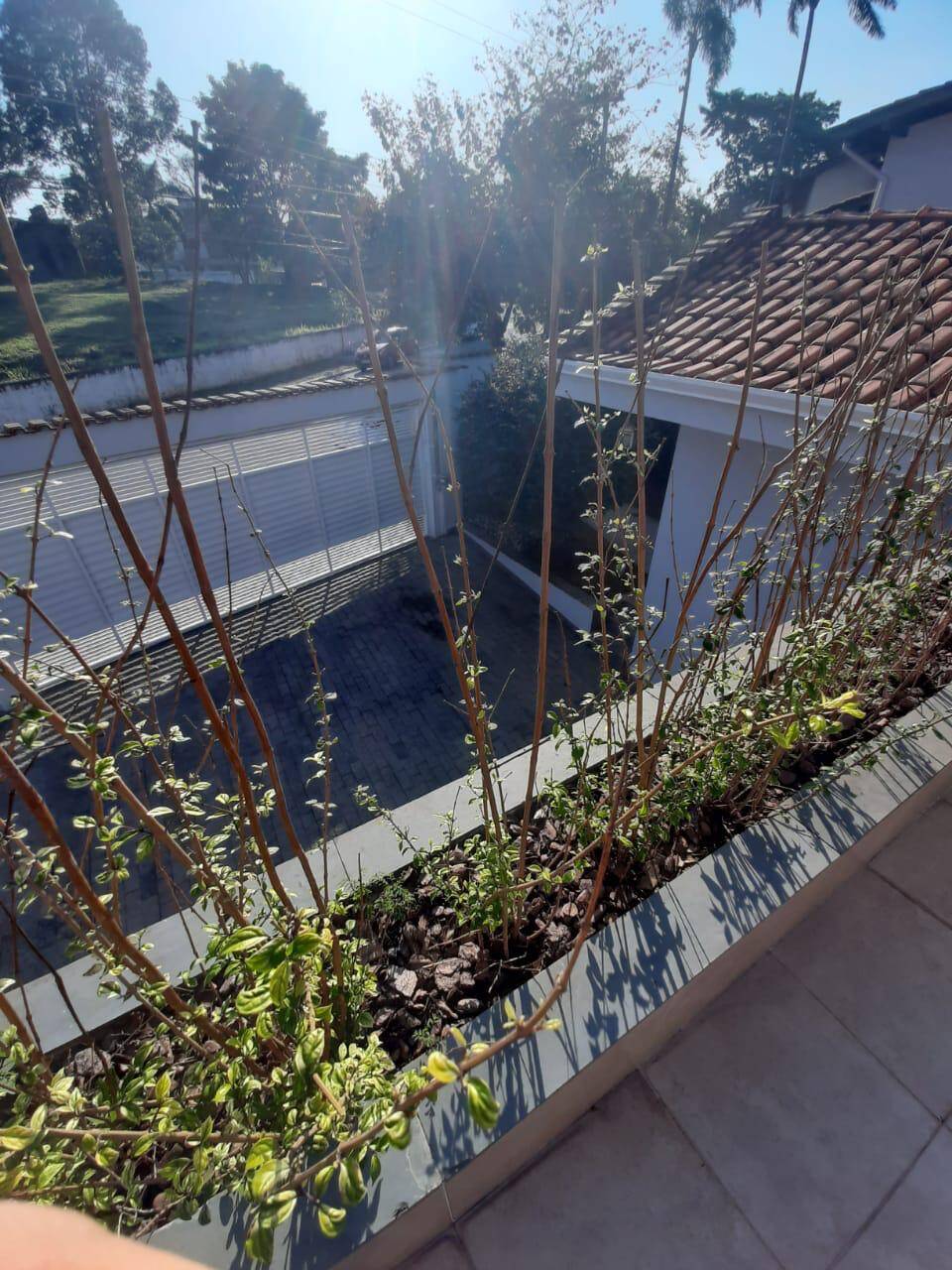 Sobrado, 5 quartos, 500 m² - Foto 15
