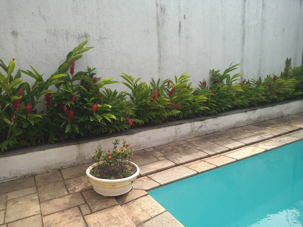 Sobrado, 4 quartos, 226 m² - Foto 15