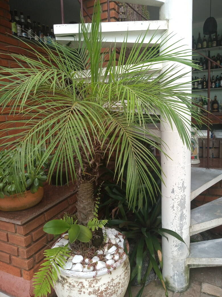 Sobrado, 4 quartos, 226 m² - Foto 28
