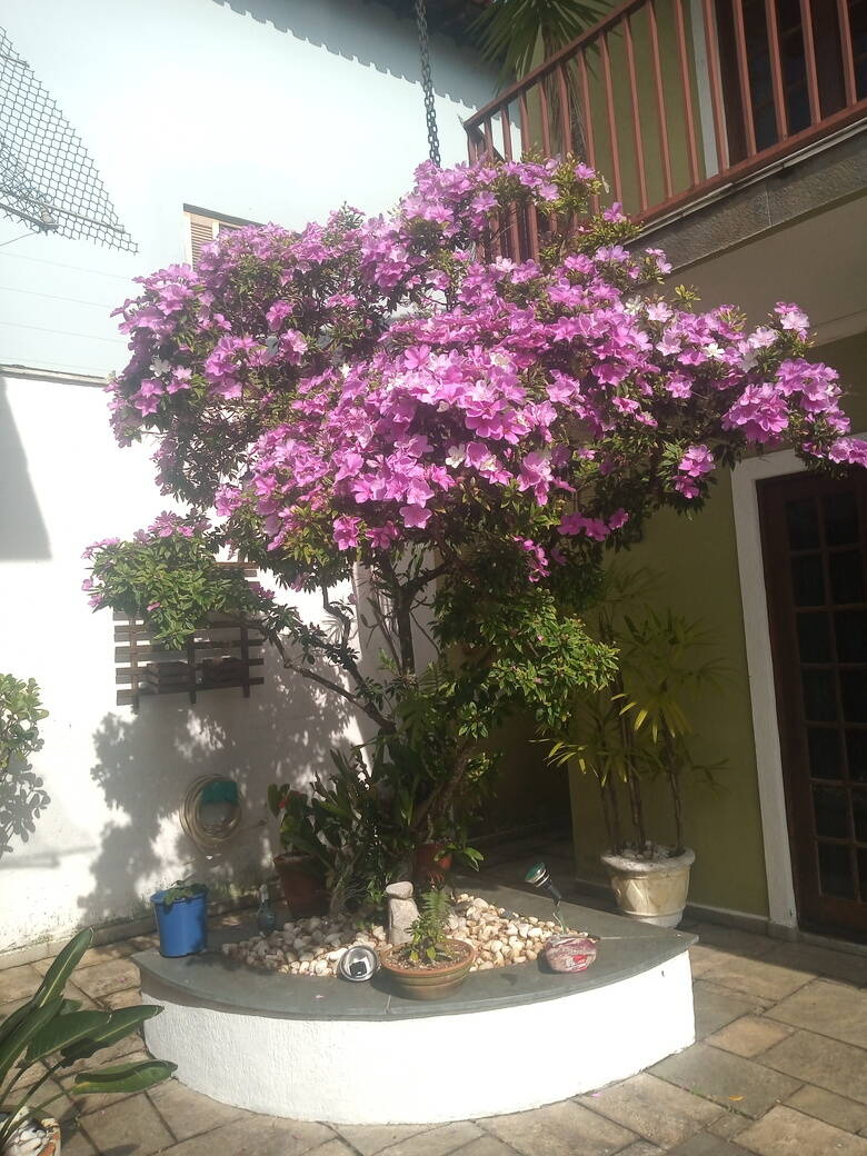 Sobrado, 4 quartos, 226 m² - Foto 27