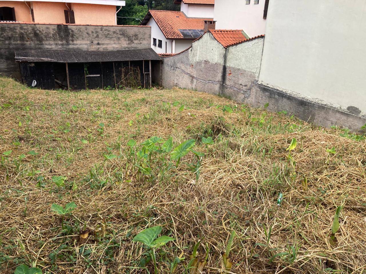 Terreno, 256 m² - Foto 8