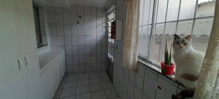 Casa, 3 quartos - Foto 25