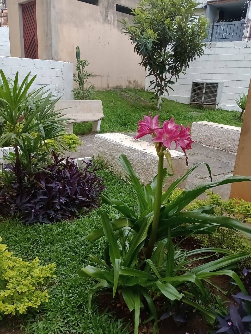 Apartamento, 2 quartos, 52 m² - Foto 11