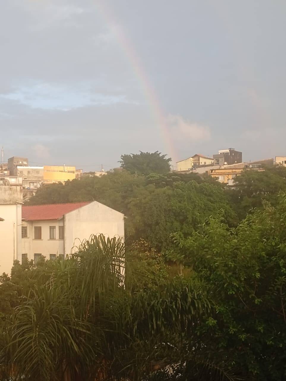 Apartamento, 2 quartos, 52 m² - Foto 12