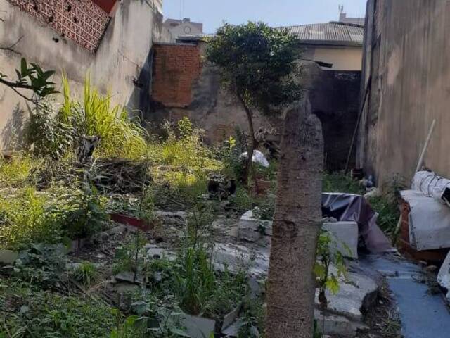 #48 - Terreno para Venda em São Paulo - SP - 3